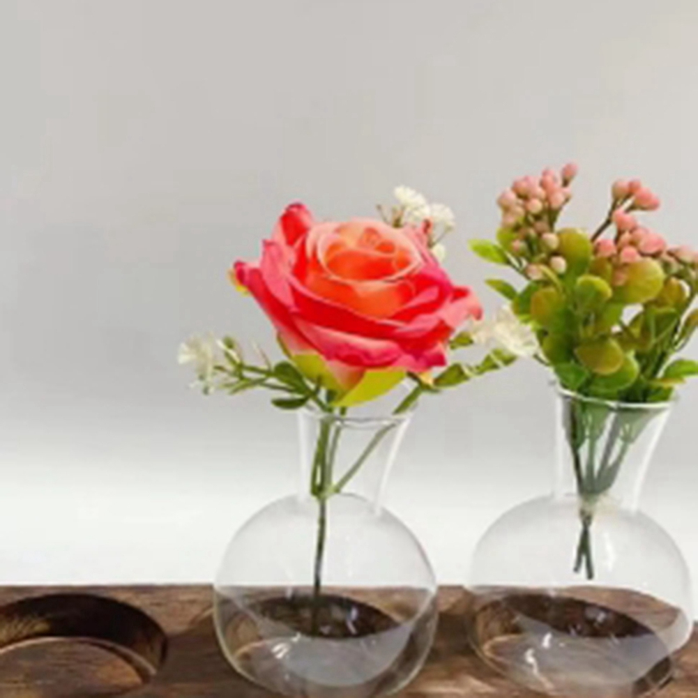 75STO-Hydroponic Plant Vases V - Propagation Station Vase review and price