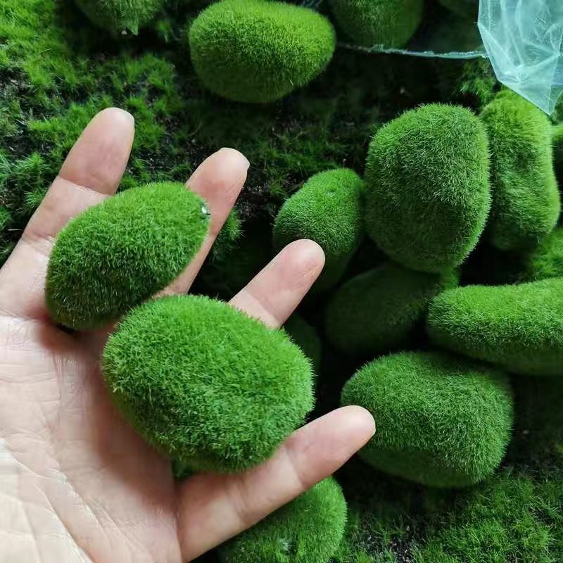 Artificial Green Moss Stones f - Sphagnum Moss Dry review and price