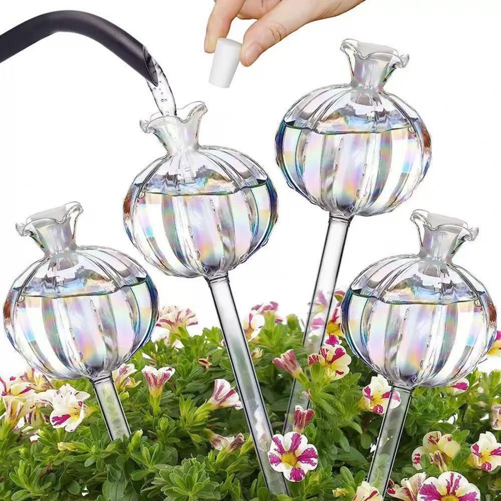 24cm Cactus Self Watering Bulb - Self Watering Insert review and price