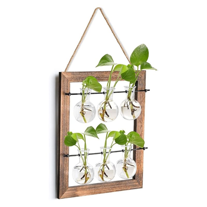 Wall Hanging Propagation Stati - Propagation Station Vase review and price