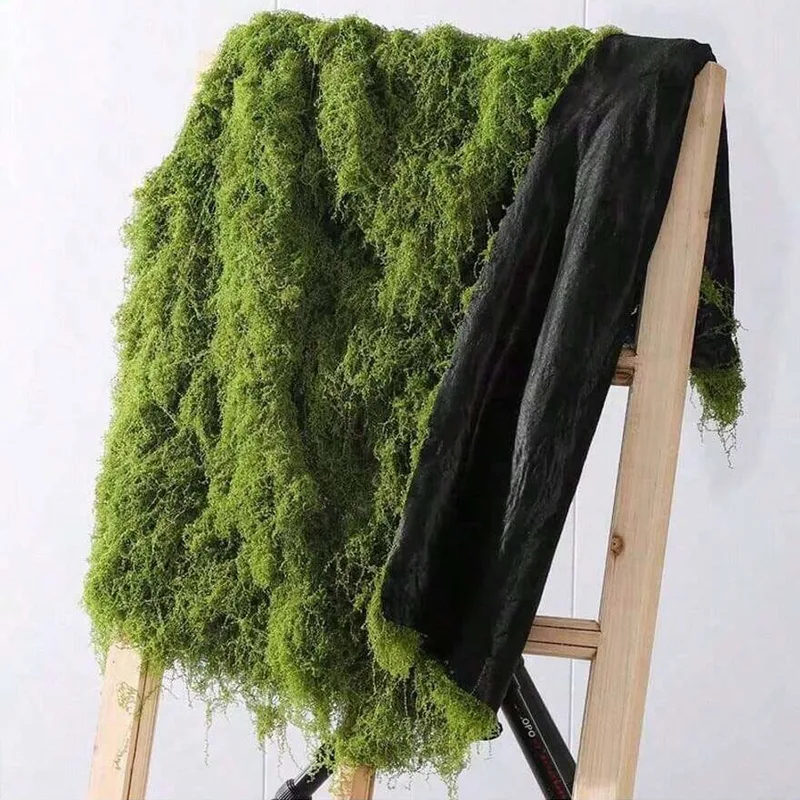 Artificial moss for micro-land - Sphagnum Moss Dry review and price