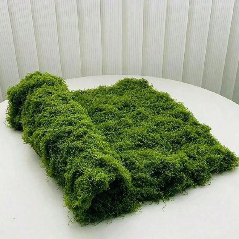 Artificial moss for micro-land - Sphagnum Moss Dry review and price