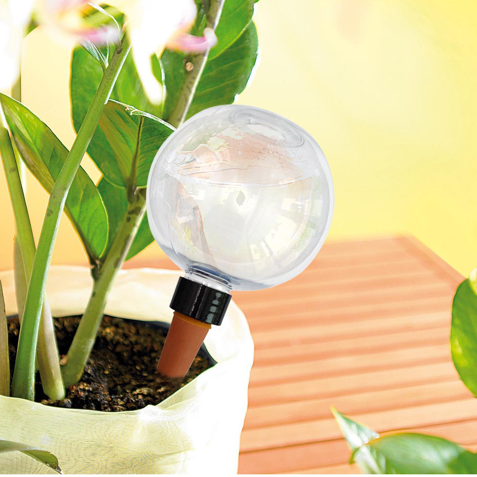 500ml Automatic Plant Watering - Self Watering Insert review and price